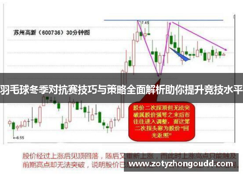 羽毛球冬季对抗赛技巧与策略全面解析助你提升竞技水平